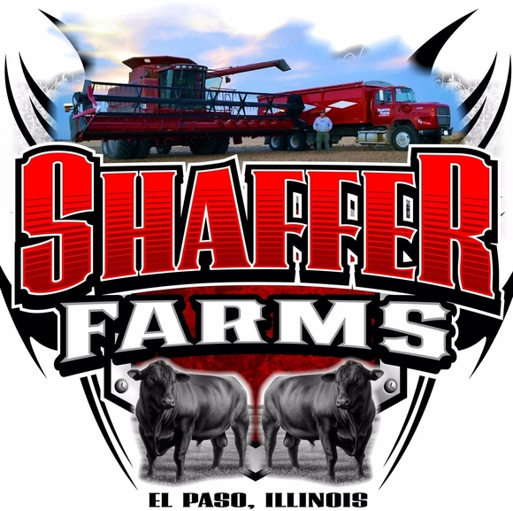 Meet your Posher, Terra - Picture 1 of 1